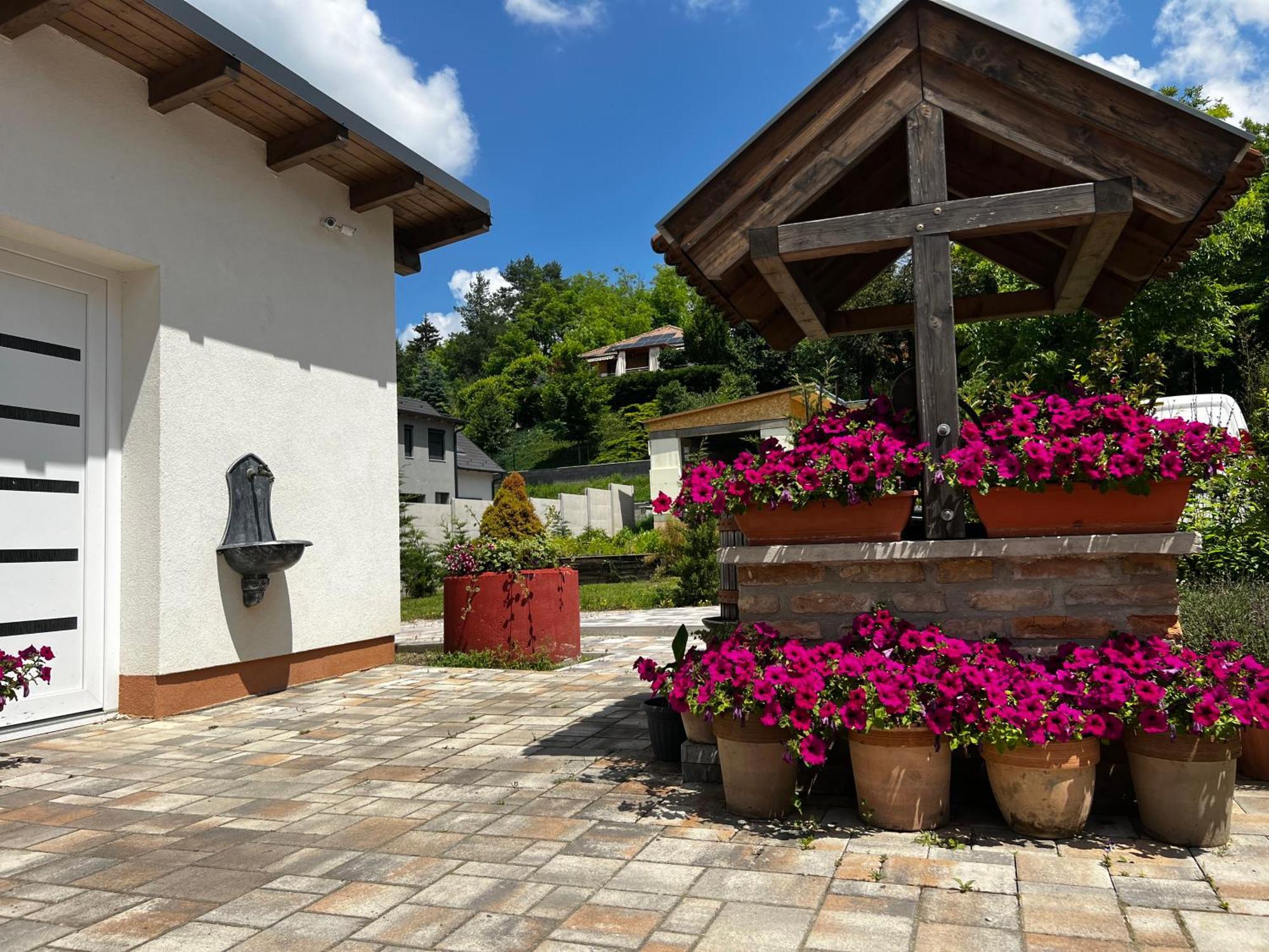 Bed and Breakfast Dreko Panzio & Borbisztro Győrújbarát Exterior foto