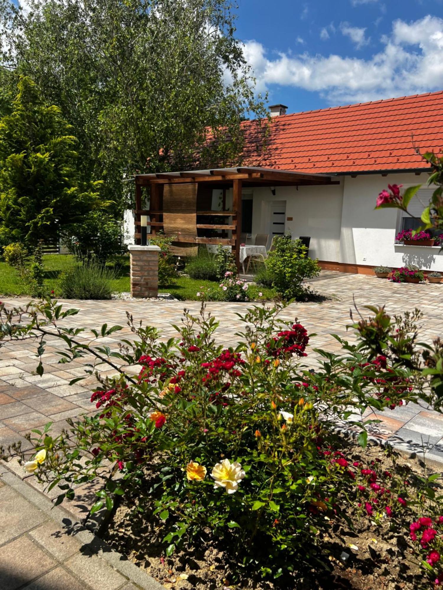 Bed and Breakfast Dreko Panzio & Borbisztro Győrújbarát Exterior foto